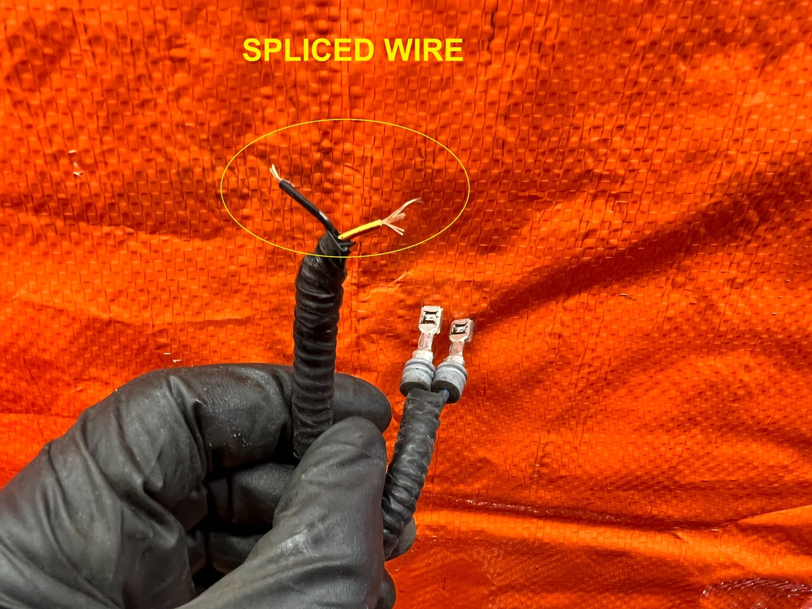 09 10 ACURA TSX   ENGINE BAY WIRING HARNESS WIRE LOOM   OEM FACTORY #16812