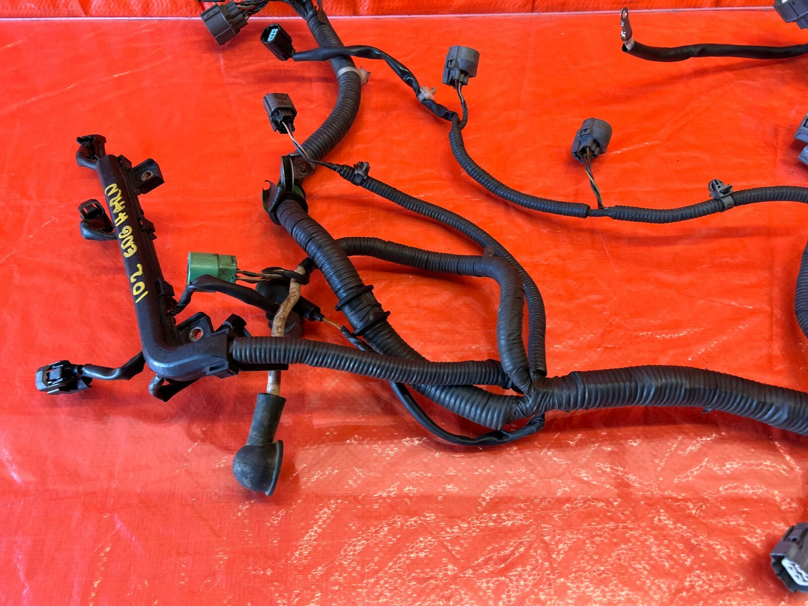 00 01 ACURA INTEGRA   NON VTEC MANUAL   ENGINE MOTOR WIRING WIRE HARNESS OEM 1029