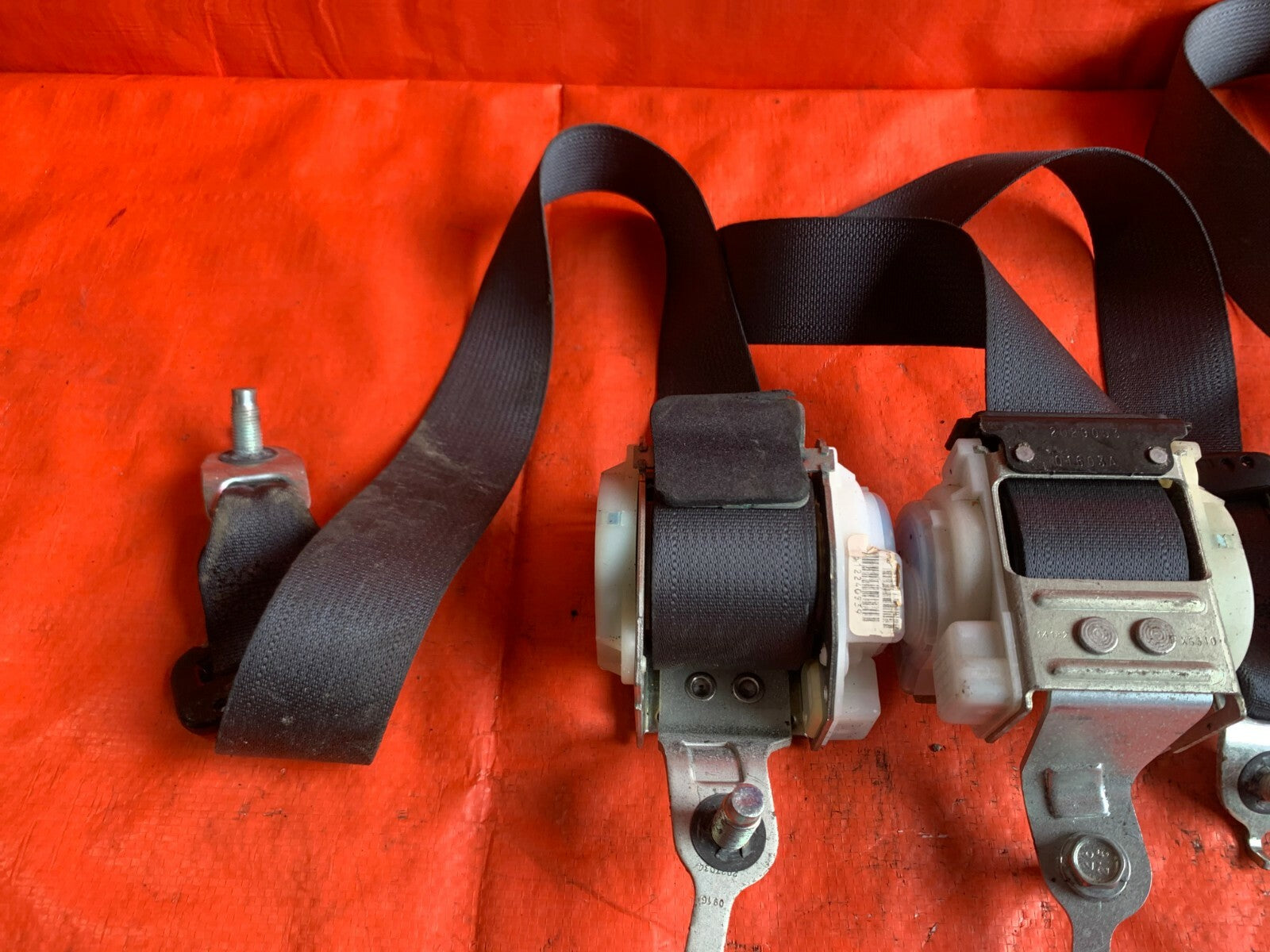 OEM 2008 08 HONDA CIVIC SI COUPE   COMPLETE REAR SEAT BELT SET LEFT RIGHT CENTER3