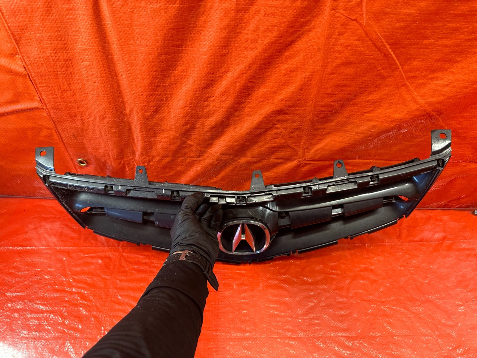 06 08 ACURA TSX   FRONT BUMPER GRILLE ASSEMBLY   OEM FACTORY #19610