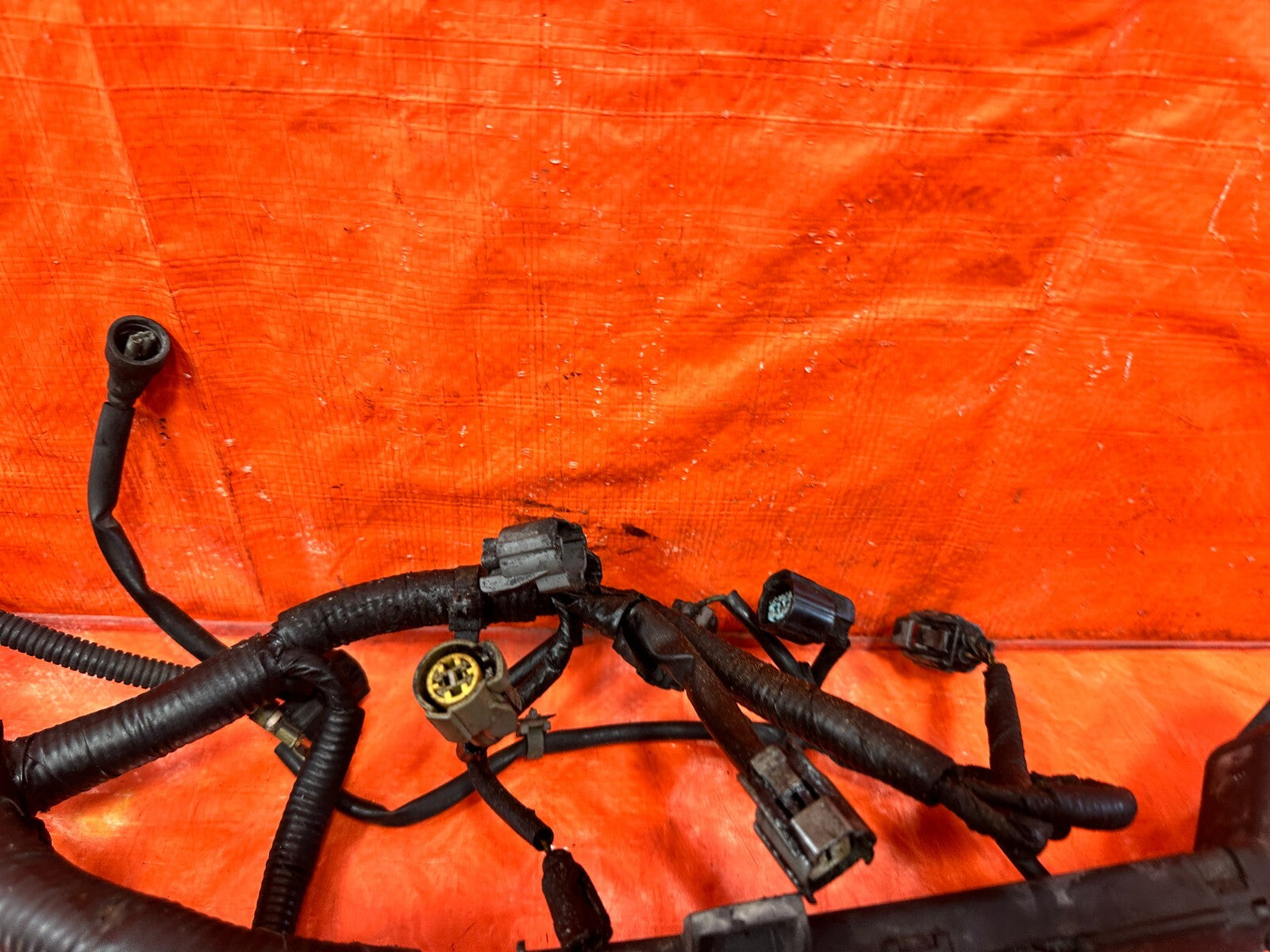 99 00 HONDA CIVIC   D16Y7 NON VTEC   AUTOMATIC   ENGINE HARNESS WIRE LOOM   OEM7