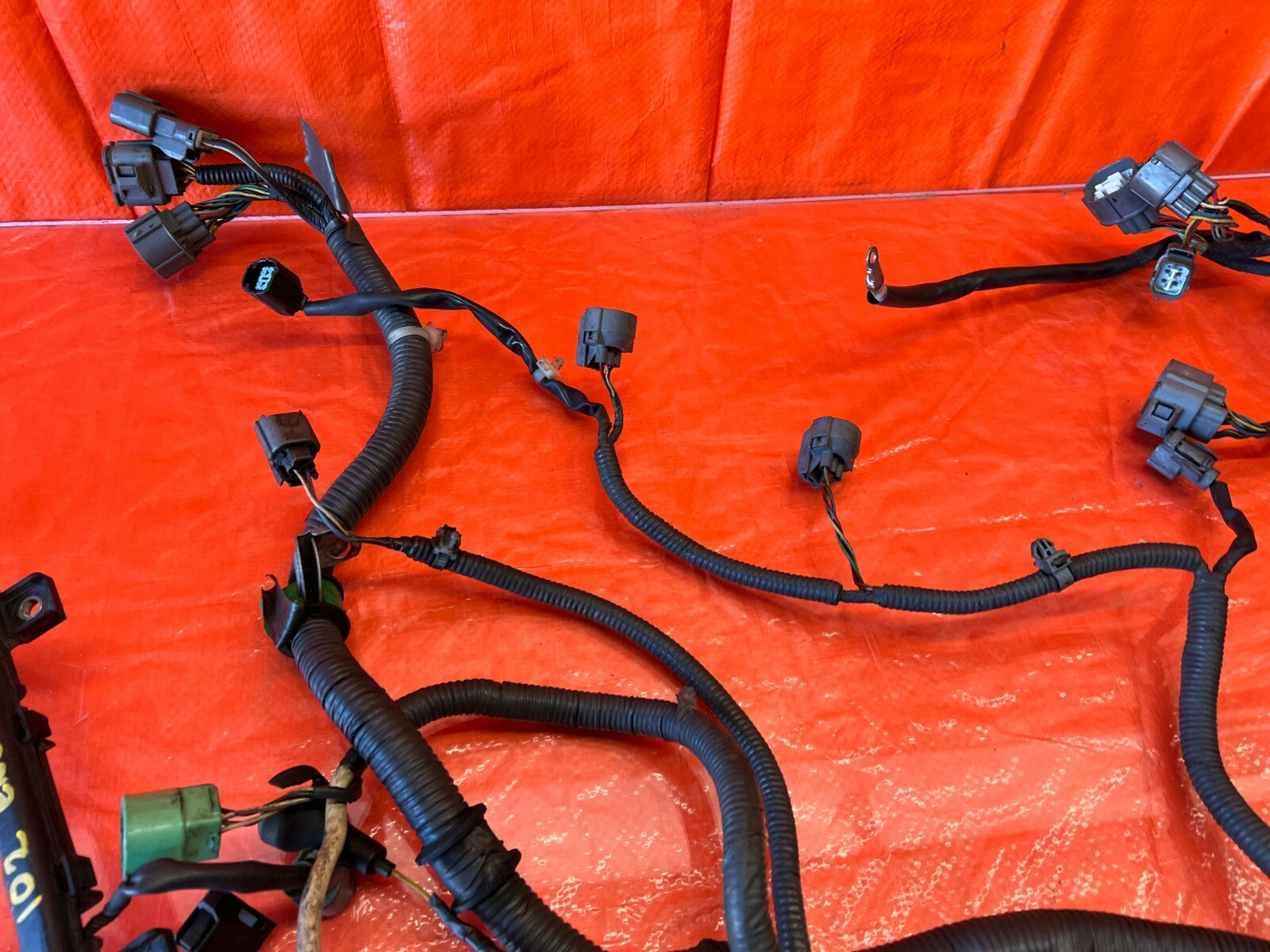 00 01 ACURA INTEGRA   NON VTEC MANUAL   ENGINE MOTOR WIRING WIRE HARNESS OEM 10211