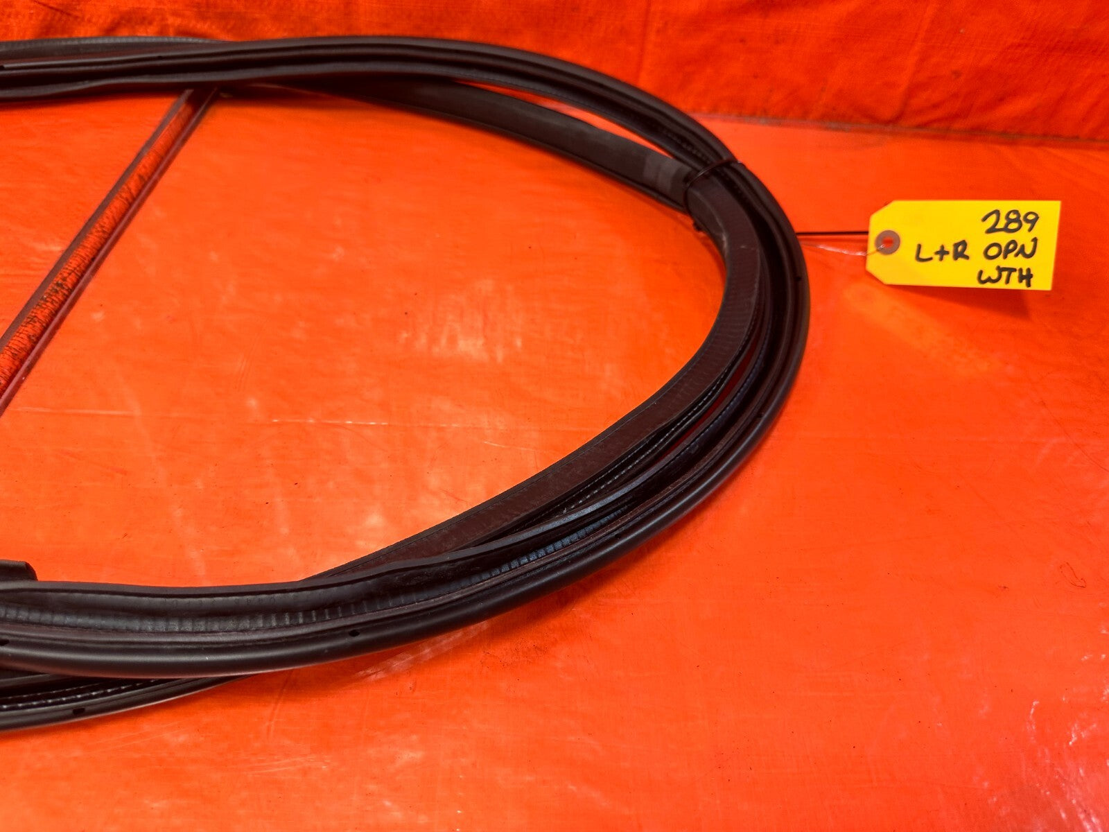 17 20 INFINITI Q60 CHASSIS TO DOOR OPEN TRIM WEATHER STRIP LEFT & RIGHT OEM #28912