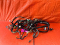 2015 HONDA ACCORD SEDAN EXL   INSTRUMENT GAUGE CLUSTER WIRING HARNESS WIRE LOOM0