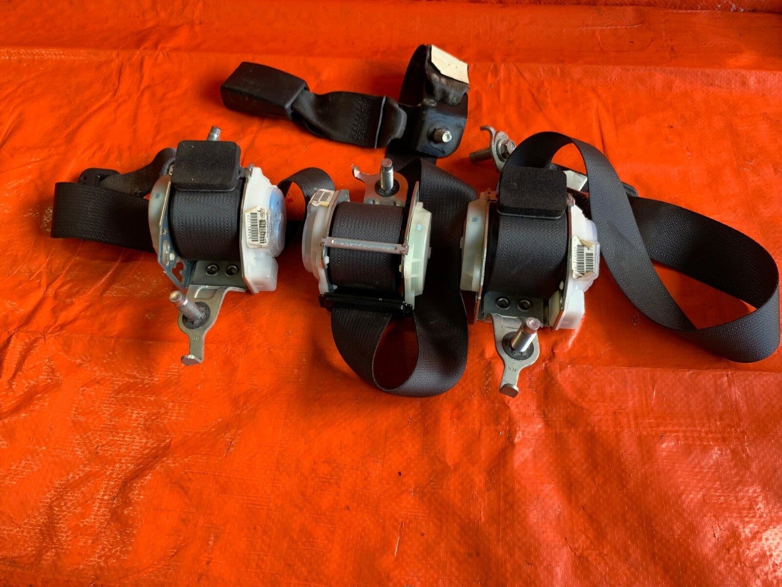 OEM 2007 07 HONDA CIVIC SI COUPE   REAR SEAT BELT SET LEFT CENTER RIGHT COMPLETE6