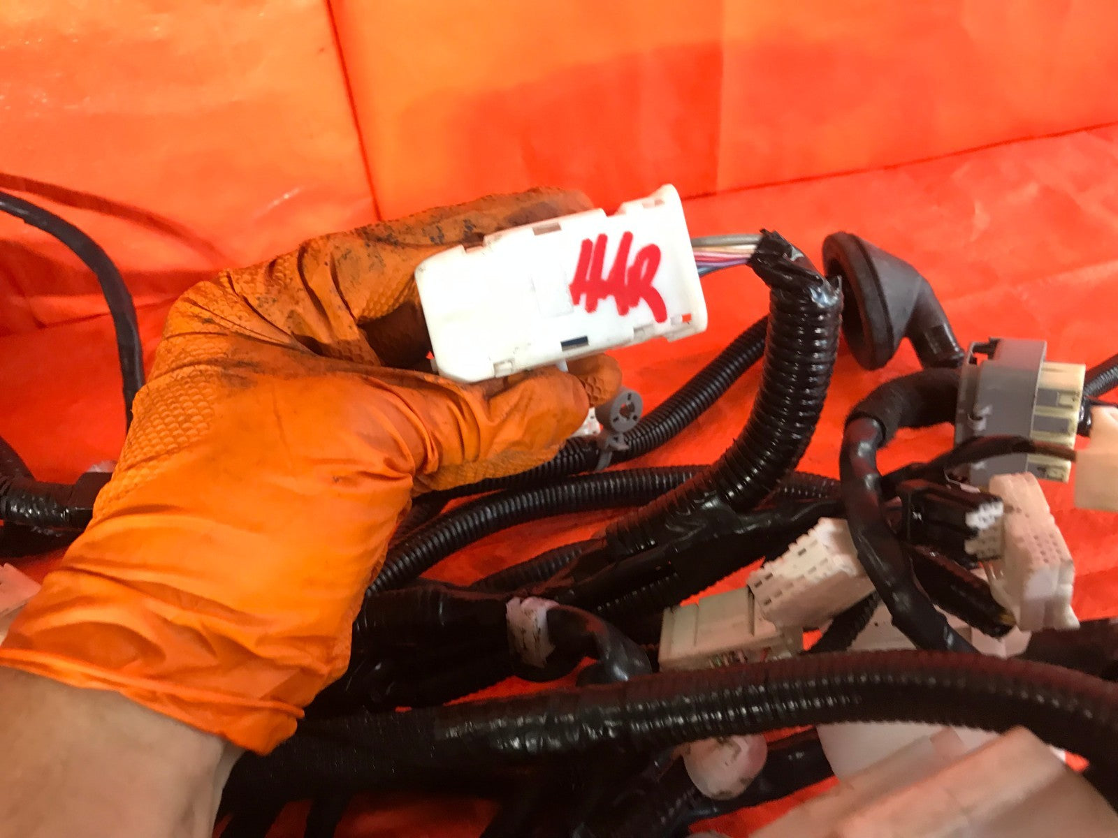 OEM 2017 17 INFINITI Q60 BODY HARNESS   PART # 24017 5CH2D8