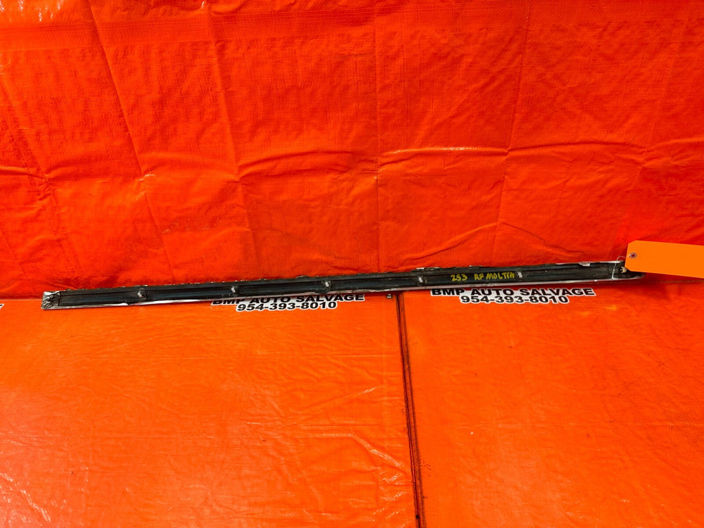 94 01 ACURA INTEGRA 2D   DOOR MOLDING IMPACT STRIP   RIGHT SIDE   OEM #2539