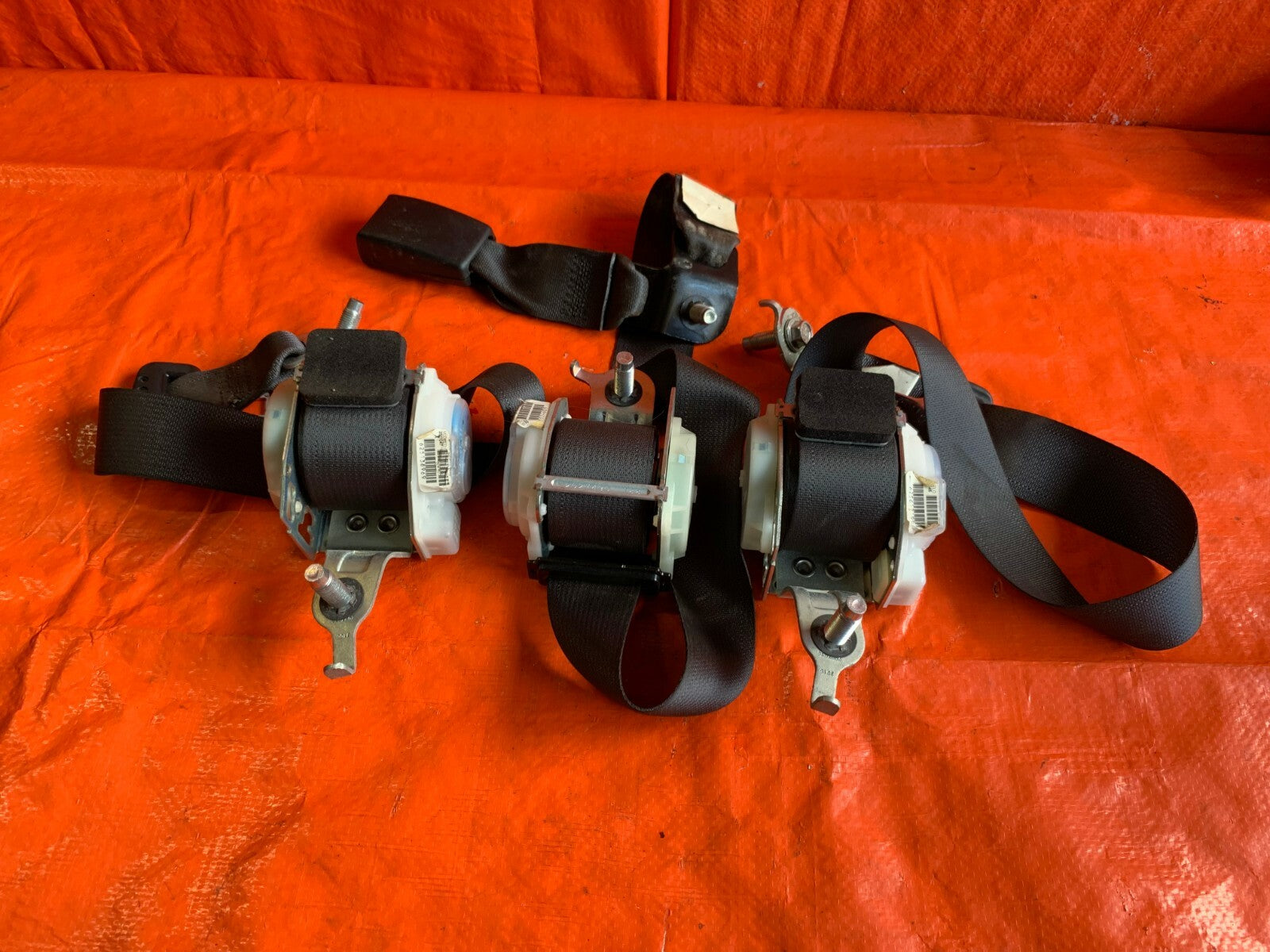 OEM 2007 07 HONDA CIVIC SI COUPE   REAR SEAT BELT SET LEFT CENTER RIGHT COMPLETE0
