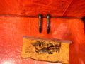 02 05 HONDA CIVIC SI EP3 HATCHBACK   REAR SHOCK STRUT BOLTS NUTS HARDWARE   3080