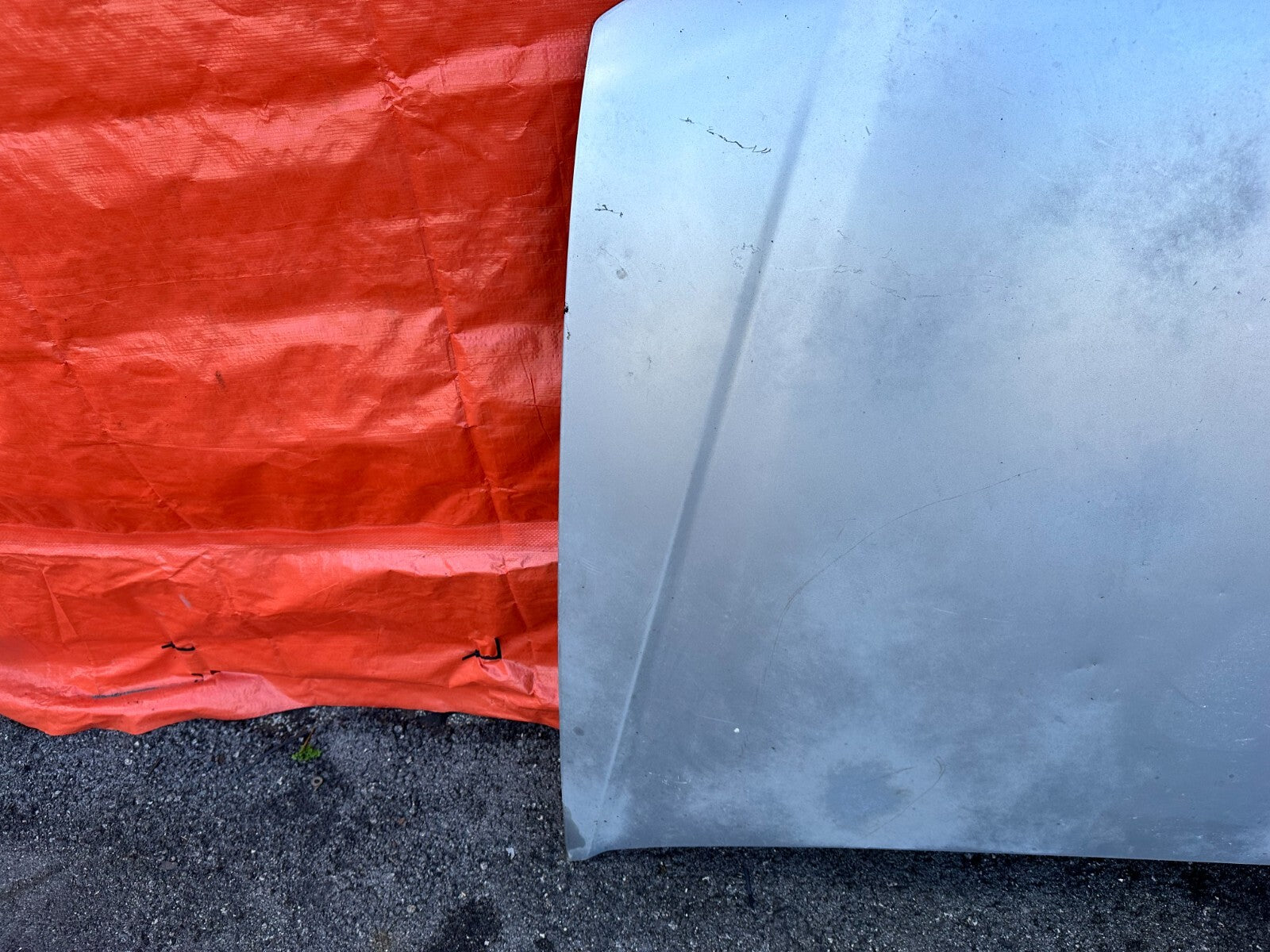 06 08 ACURA TSX   HOOD / BONNETT ASSEMBLY   OEM FACTORY #27513