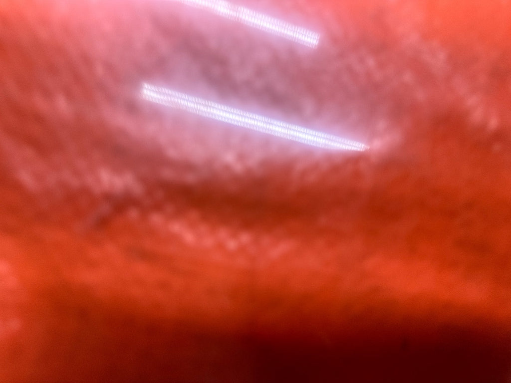97 01 HONDA PRELUDE 2.2L DUAL FRONT BUMPER HORNS ALARM SOUND SIGNAL OEM #3365