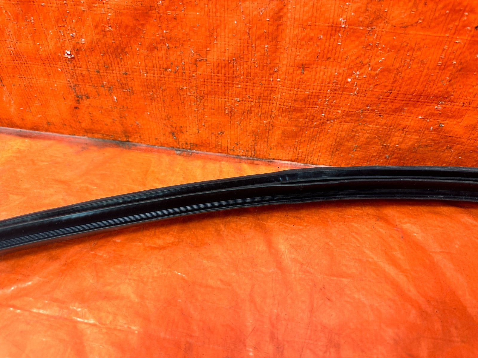 02 05 HONDA CIVIC SI EP3   CHASSIS TO DOOR OPEN TRIM WEATHER STRIP RIGHT OEM 30611