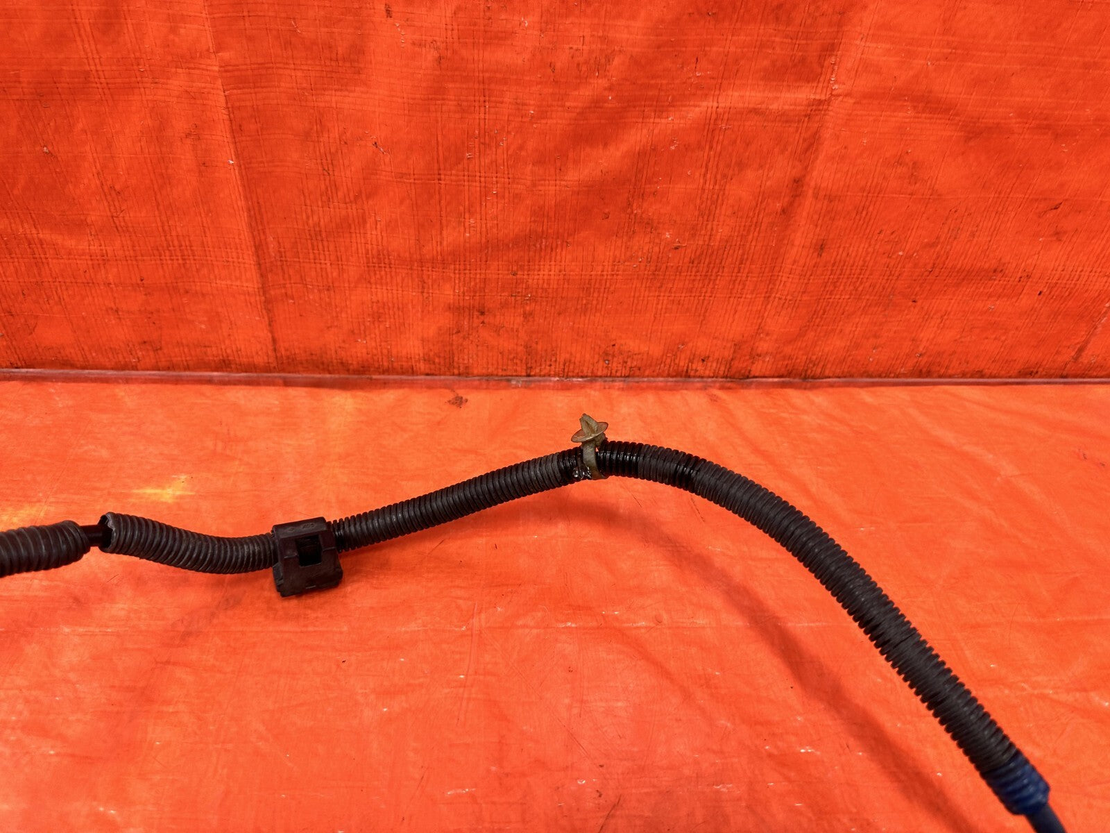 00 05 HONDA S2000   STARTER HARNESS   F20C1 F22C1 F20C F22C F20 F22   OEM #2903