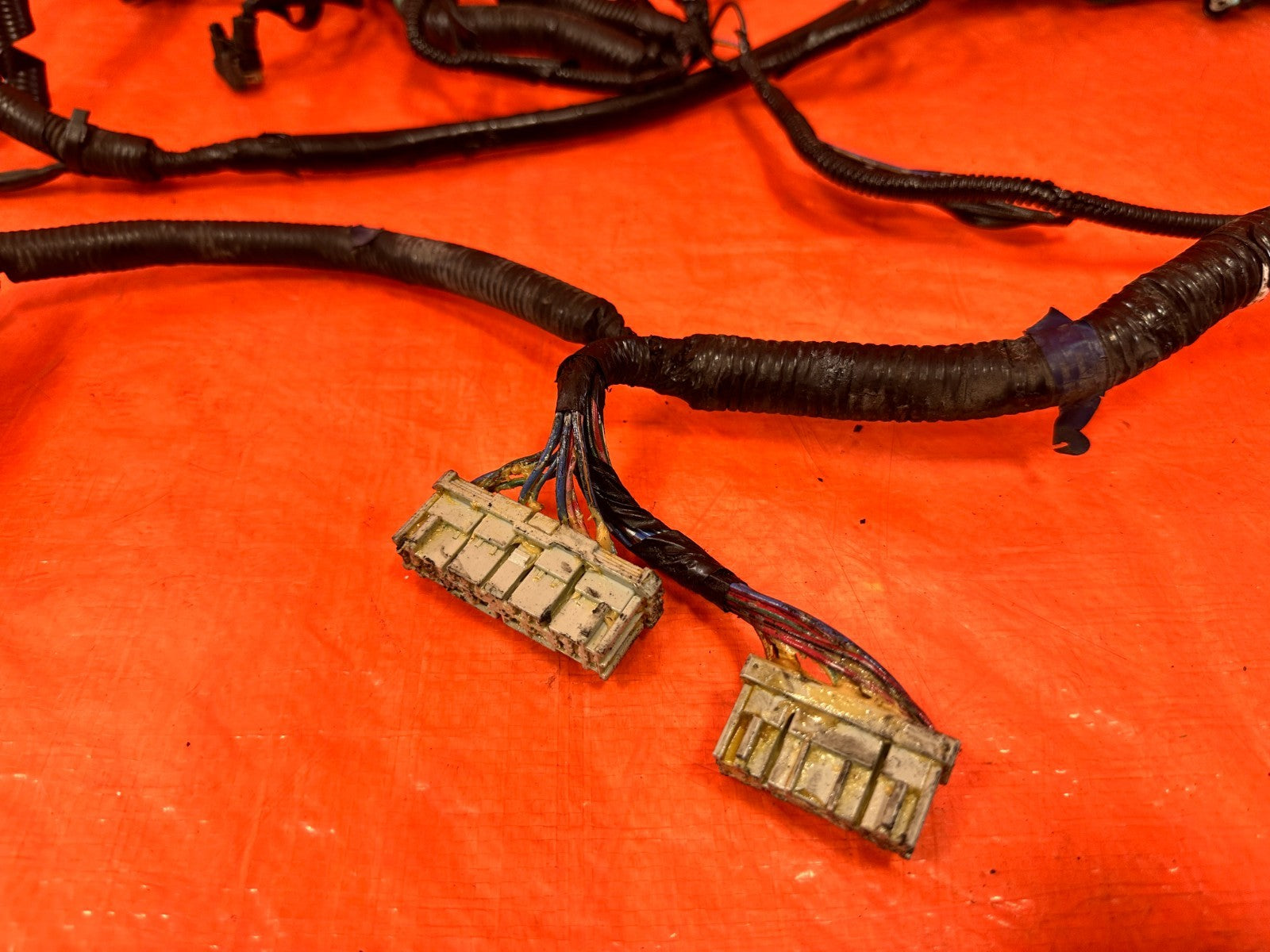 04 05 ACURA TSX   ENGINE BAY / ABS MODULE WIRE HARNESS WIRING LOOM   OEM #3049