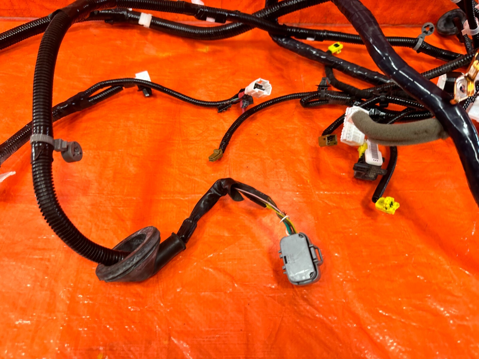 2018 18 INFINITI Q60 RED SPORT BODY WIRE HARNESS WIRING LOOM 24017 5CH0E OEM 28913