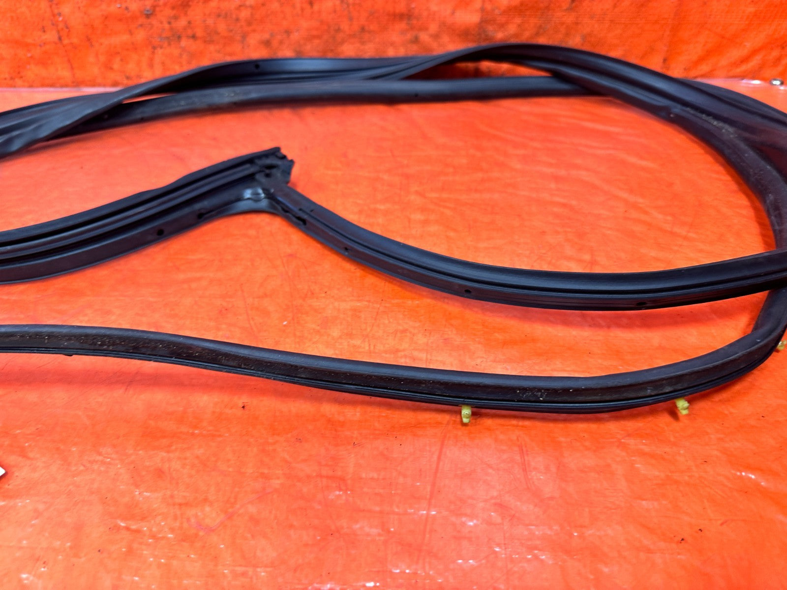 04 08 ACURA TSX LEFT DRIVER FRONT DOOR WINDOW GLASS WEATHER STRIP OEM #3309