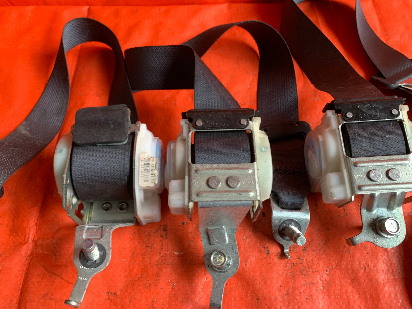 OEM 2008 08 HONDA CIVIC SI COUPE   COMPLETE REAR SEAT BELT SET LEFT RIGHT CENTER4