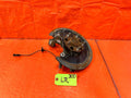 06 11 HONDA CIVIC SI   DRIVER LEFT REAR   SPINDLE KNUCKLE HUB   OEM #3000