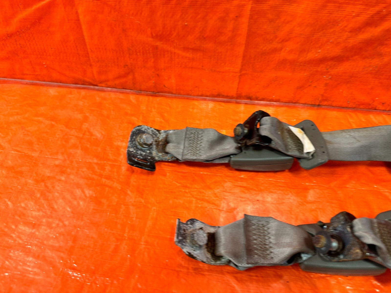 02 06 ACURA RSX TYPE S & BASE   REAR SEAT BELT SET LEFT RIGHT TAN GRAY OEM #2804