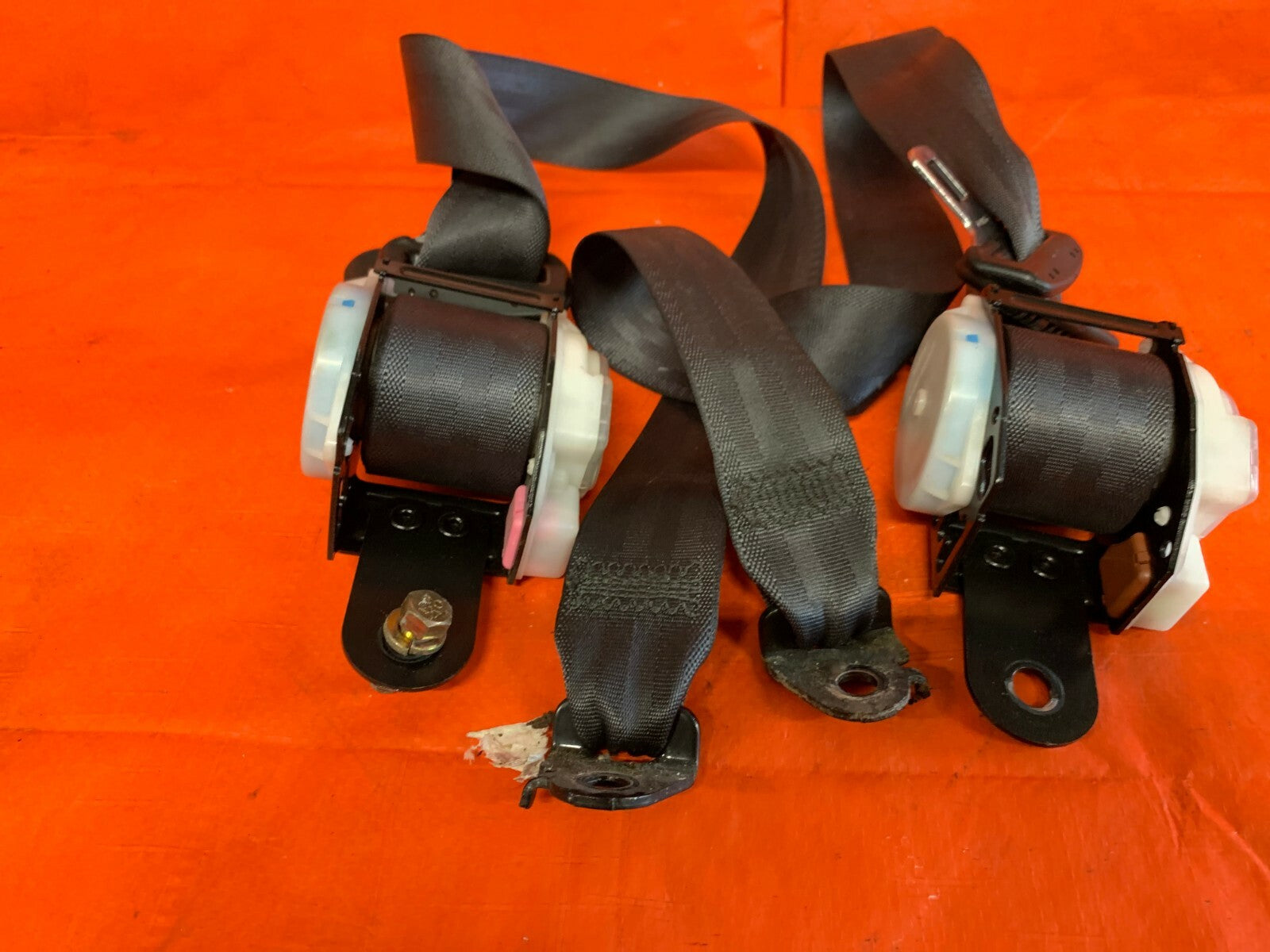 OEM 2003 03 ACURA RSX TYPE S   REAR SEAT BELT SET DRIVER LEFT PASSENGER RIGHT 4