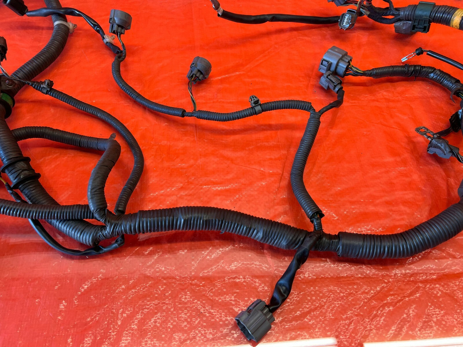 00 01 ACURA INTEGRA   NON VTEC MANUAL   ENGINE MOTOR WIRING WIRE HARNESS OEM 1028