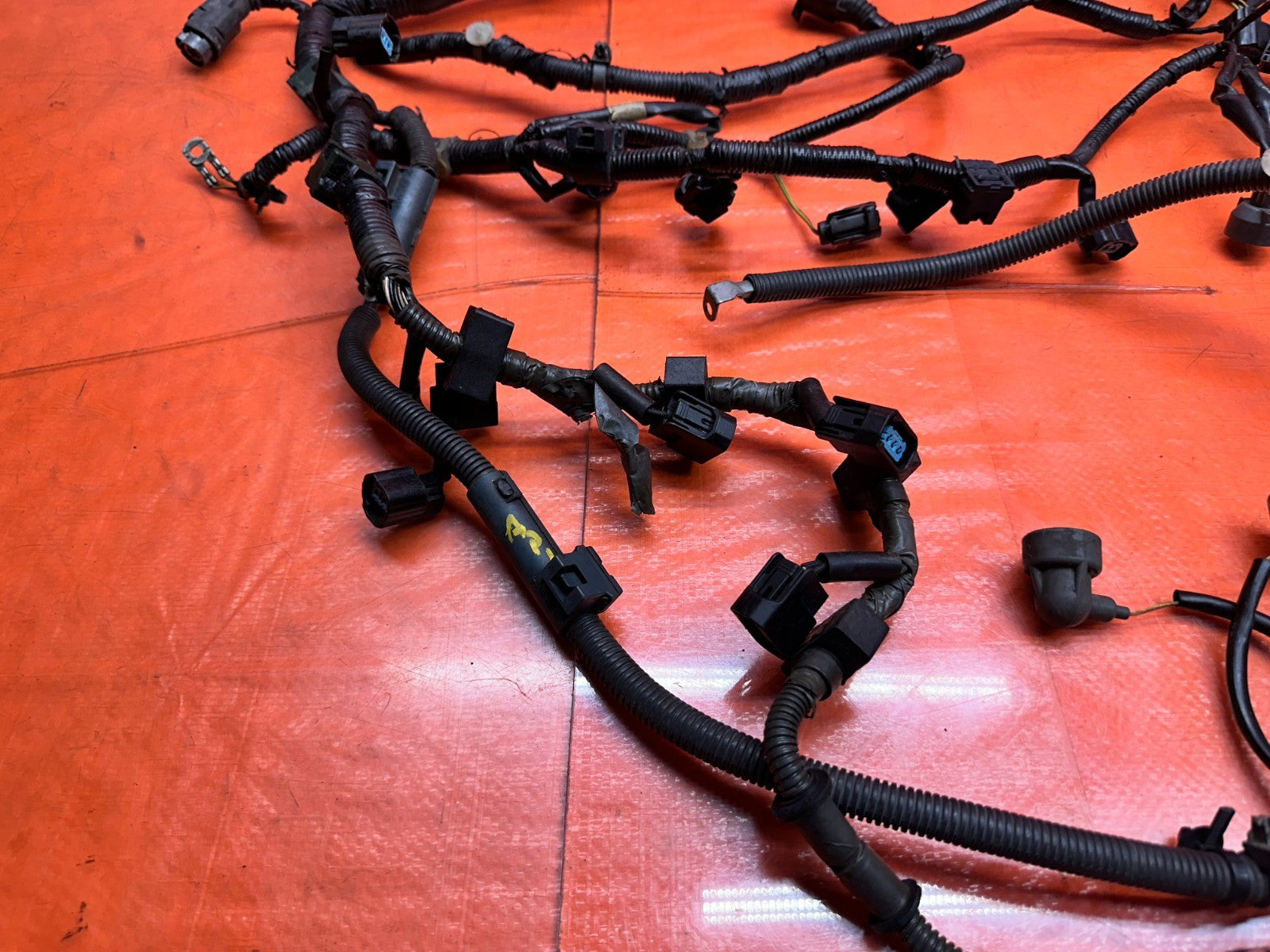 00-05 HONDA S2000 AP1 AP2 F20C F22C ENGINE WIRE HARNESS WIRING MOTOR OEM #AP1-15