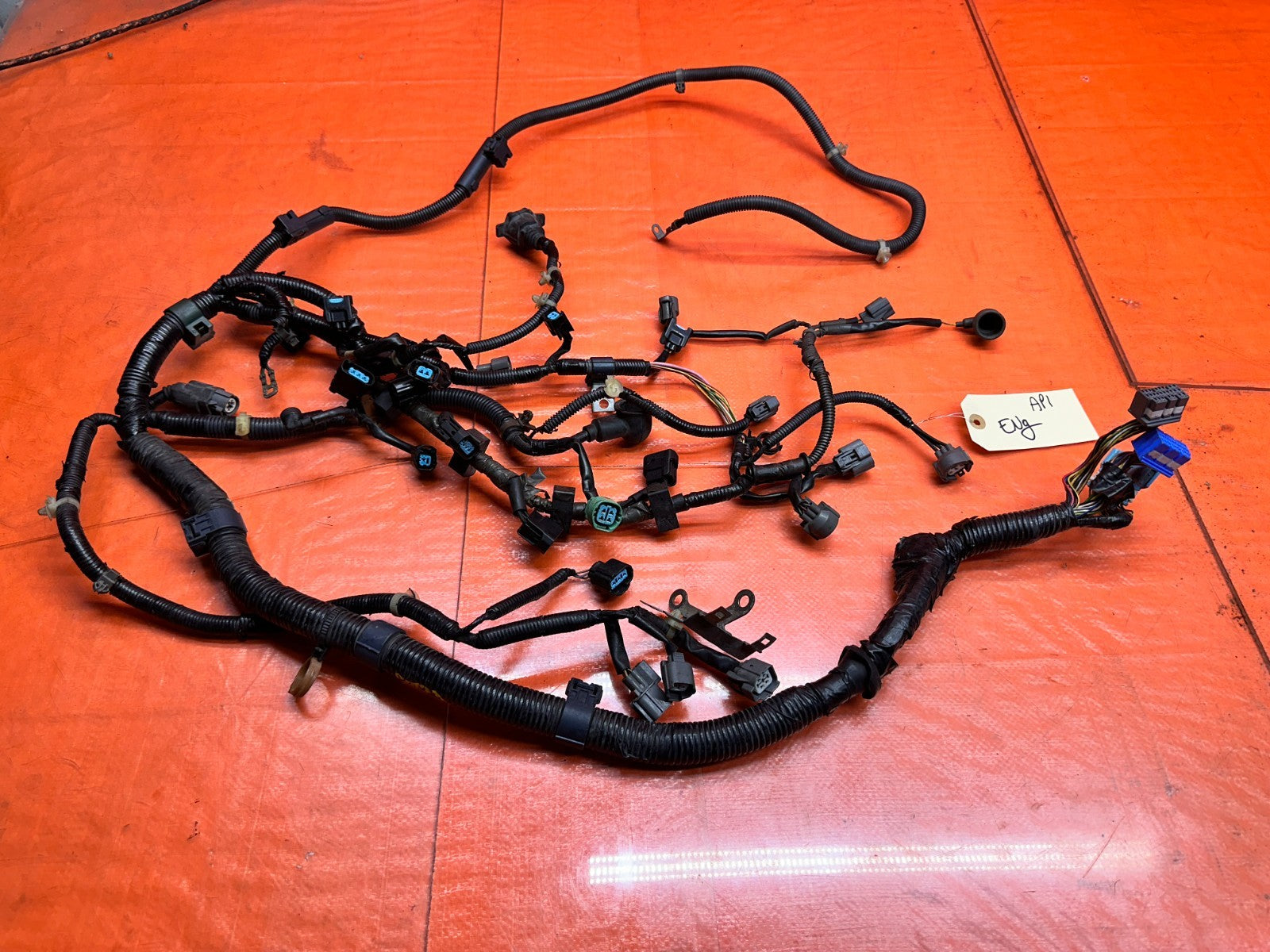 00-05 HONDA S2000 AP1 AP2 F20C F22C ENGINE WIRE HARNESS WIRING MOTOR OEM #AP10