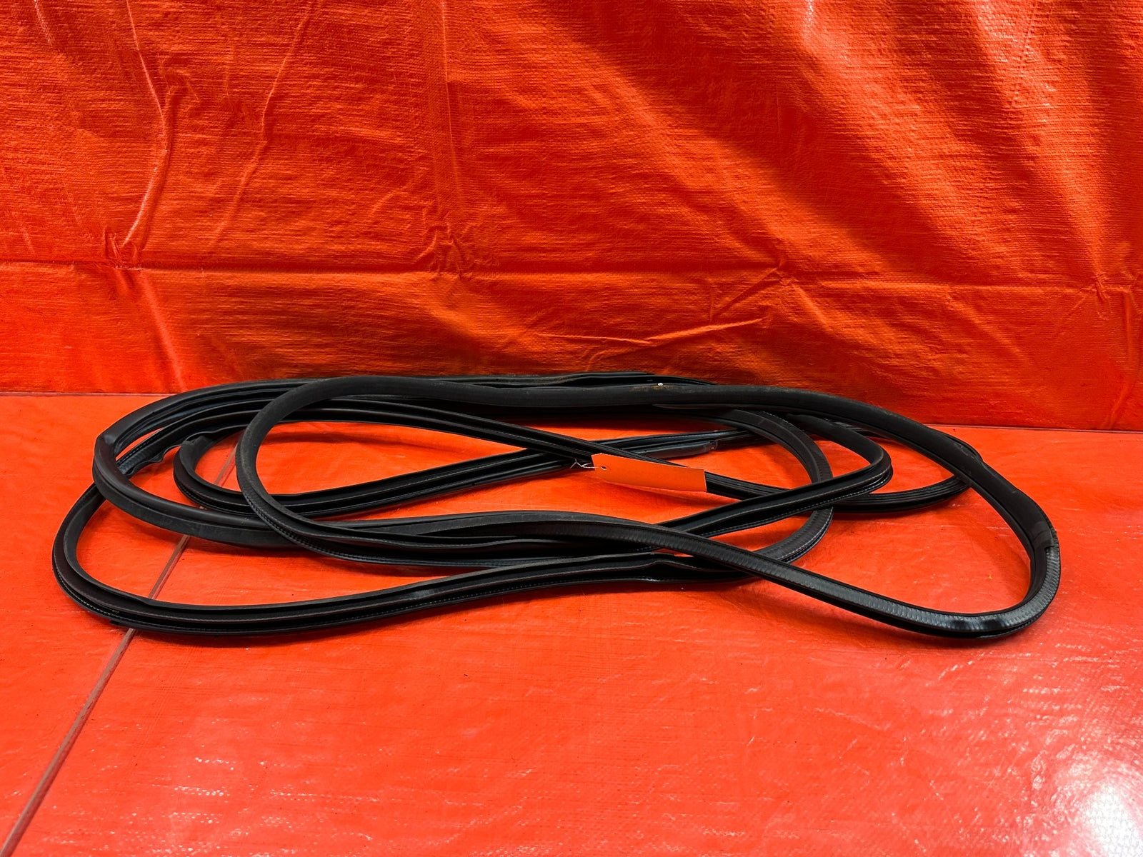 17 20 INFINITI Q60 CHASSIS TO DOOR OPEN TRIM WEATHER STRIP LEFT & RIGHT OEM #20010