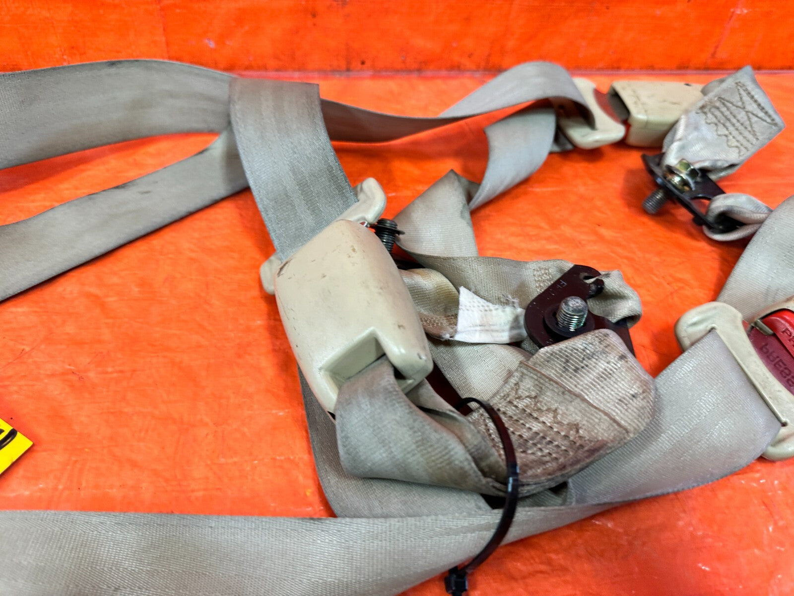 04 08 ACURA TSX   REAR SEAT BELT SET   LEFT & RIGHT SEAT BELTS   TAN   OEM #2915