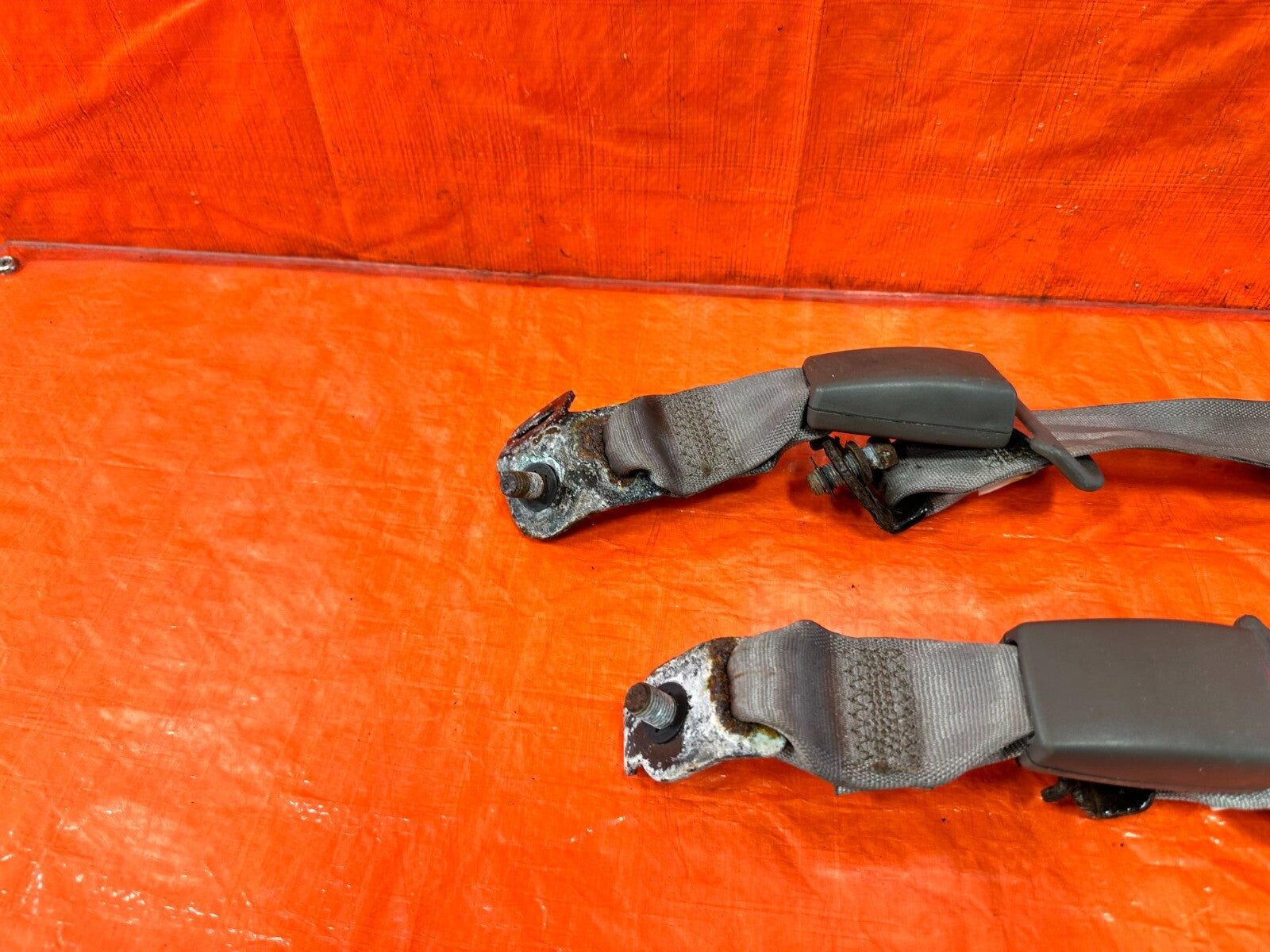 02 06 ACURA RSX TYPE S & BASE   REAR SEAT BELT SET LEFT RIGHT TAN GRAY OEM #2808