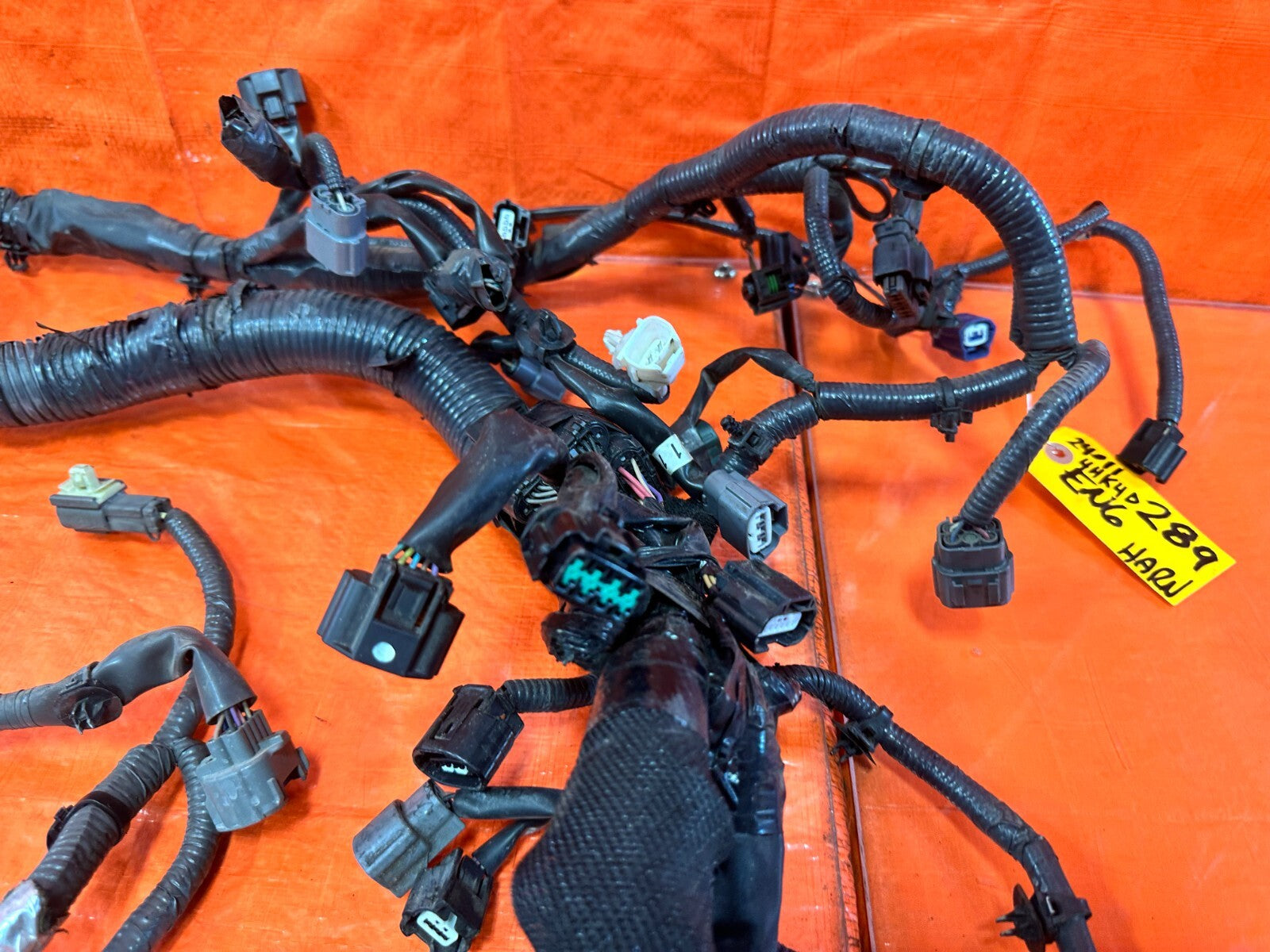 18 19 INFINITI Q60 RED SPORT    RWD   VR30DDTT   ENGINE MOTOR WIRE HARNESS #2898