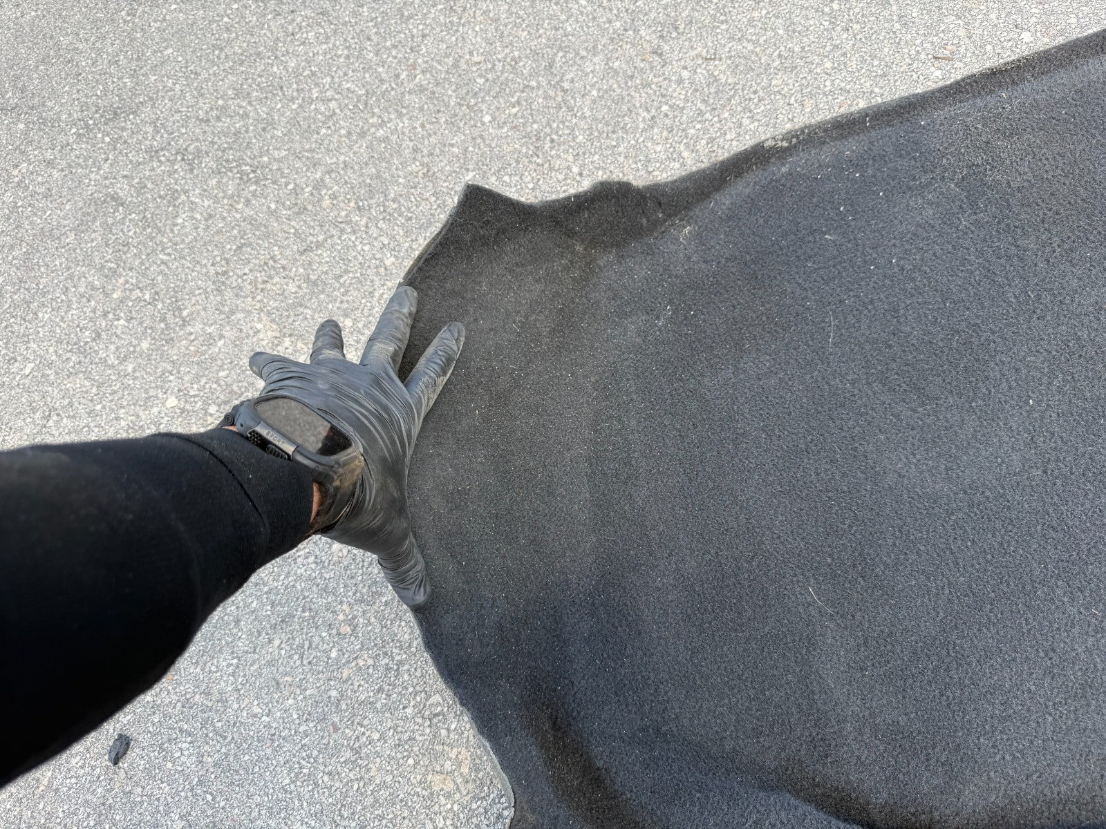 02 05 HONDA CIVIC SI EP3 HATCHBACK INTERIOR FLOOR CARPET RUG MAT   BLACK OEM EP38
