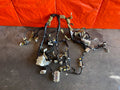 08 09 INFINITI G37 2D COUPE   SPORT MODEL   MAIN WIRING HARNESS 24010 1ND3C OEM0