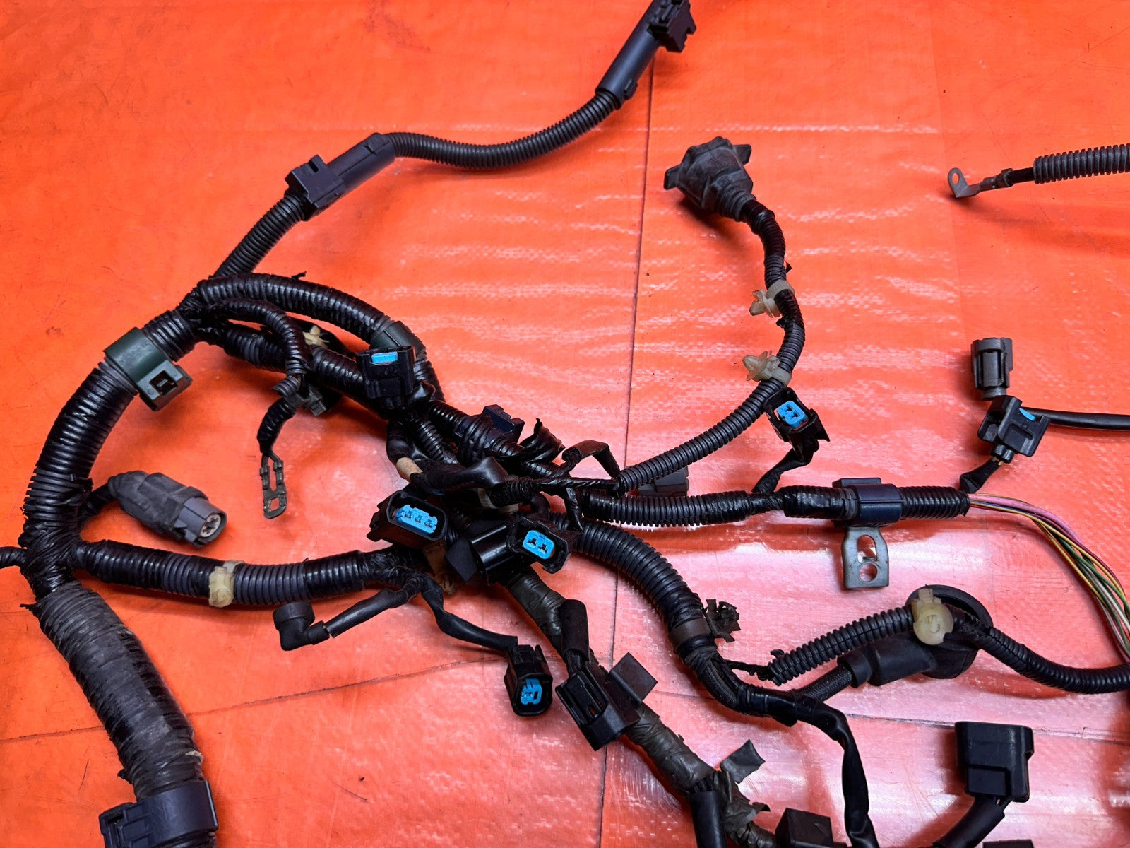 00-05 HONDA S2000 AP1 AP2 F20C F22C ENGINE WIRE HARNESS WIRING MOTOR OEM #AP111