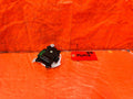04 14 ACURA TSX   AC FLAP VENT ACTUATOR   PART # 113800 2320   OEM #3050