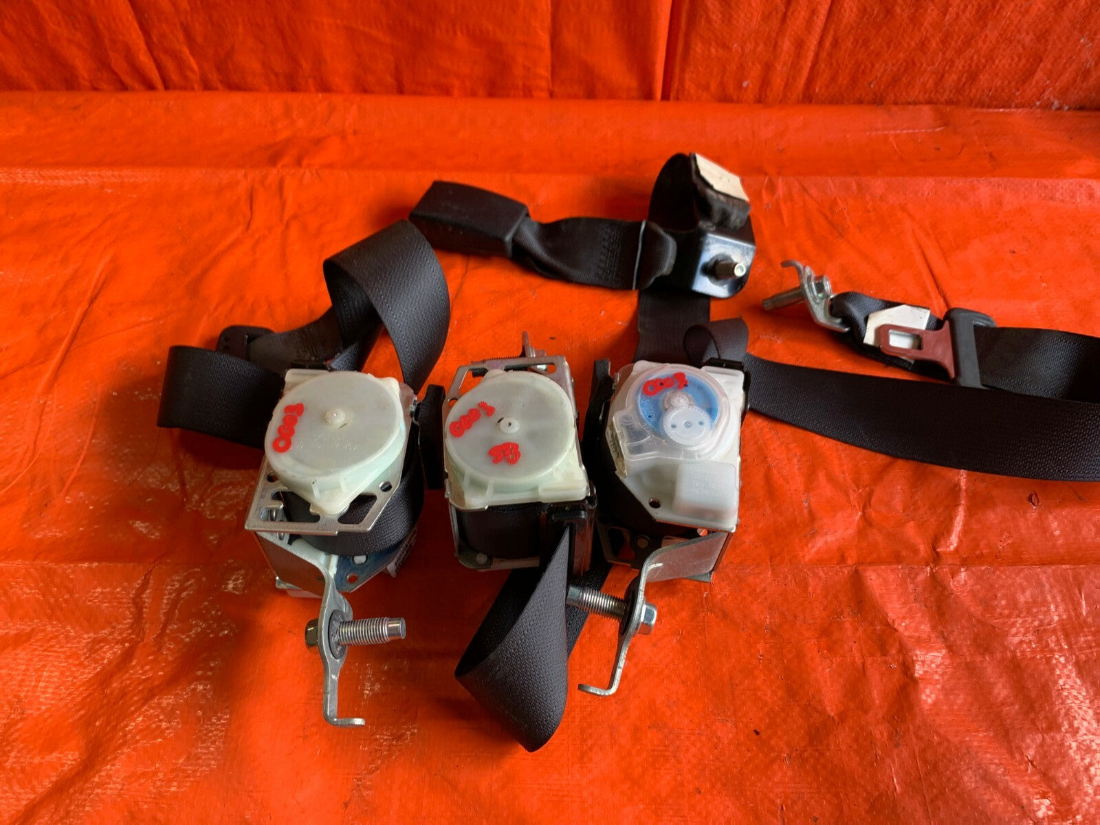 OEM 2007 07 HONDA CIVIC SI COUPE   REAR SEAT BELT SET LEFT CENTER RIGHT COMPLETE8