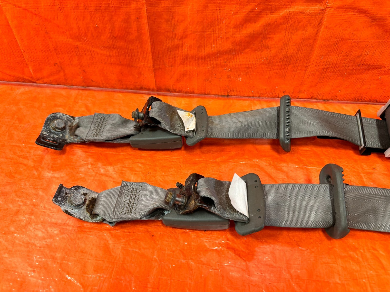 02 06 ACURA RSX TYPE S & BASE   REAR SEAT BELT SET LEFT RIGHT TAN GRAY OEM #2803