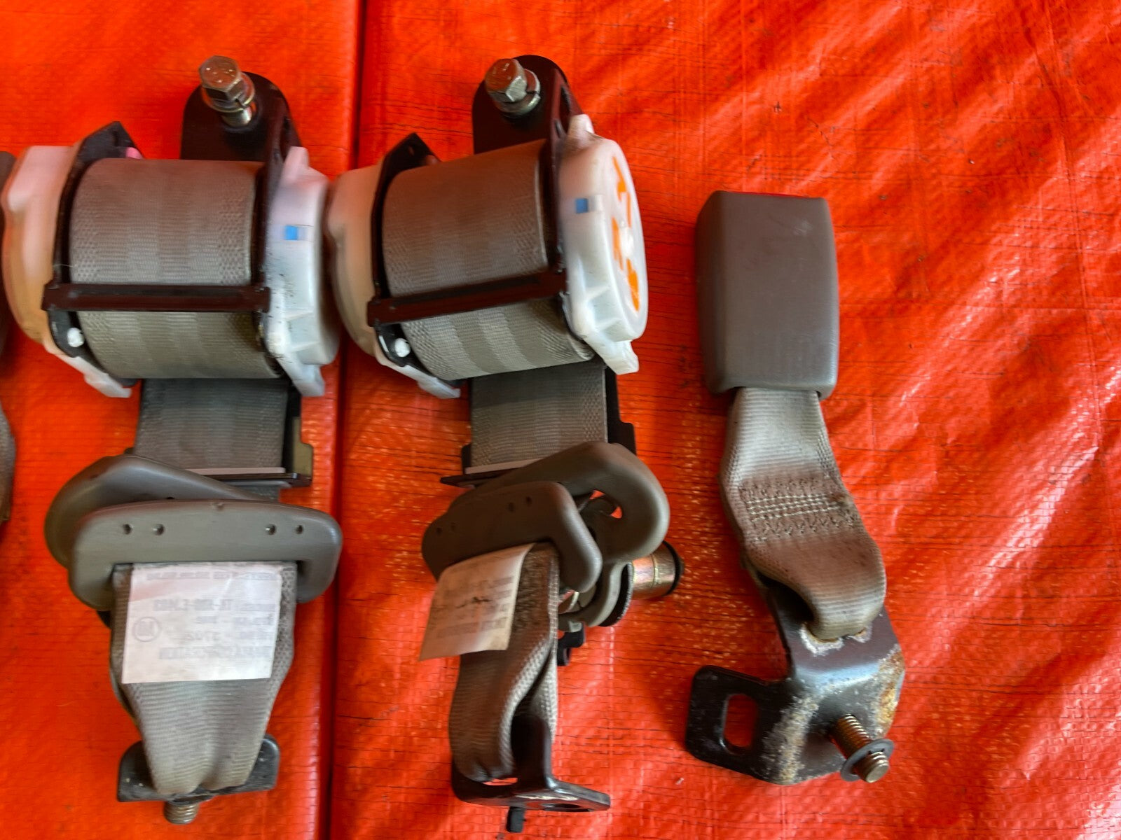 02 06 ACURA RSX   REAR SEAT BELT SET   LEFT RIGHT DRIVER PASSENGER TAN OEM #713