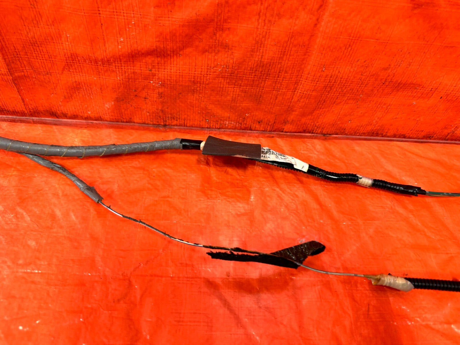02 06 ACURA RSX   INTERIOR HARNESS   77923 S6M A00   OEM FACTORY #2804