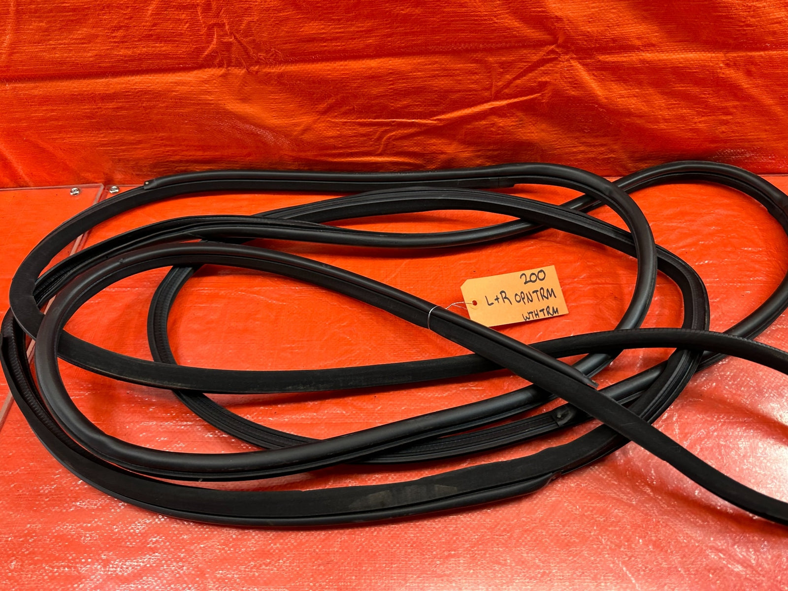 17 20 INFINITI Q60 CHASSIS TO DOOR OPEN TRIM WEATHER STRIP LEFT & RIGHT OEM #2007
