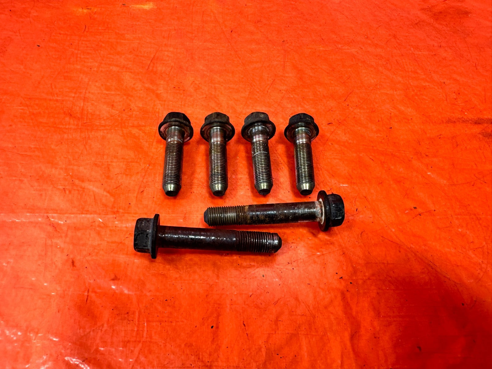 02 05 HONDA CIVIC SI EP3   REAR TRAILING ARM LOWER CONTROL ARM CAMBER BOLTS 3081